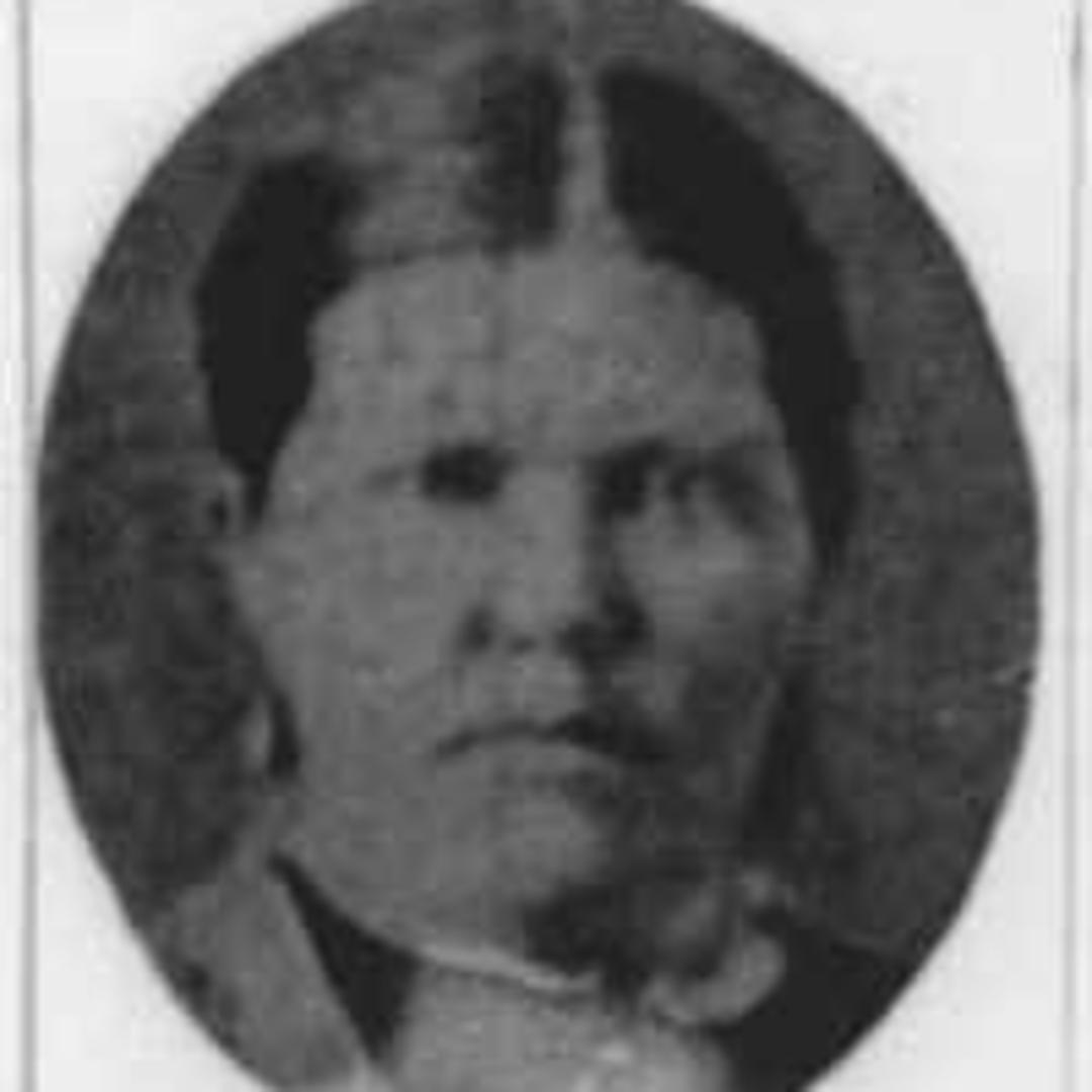 Anna Hannah Larson (1849 - 1917) Profile